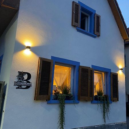 Ferienwohnung Blumenshein Bei Speyer Karlsruhe Familienfreundlich 5 Pers Zeiskam Dış mekan fotoğraf