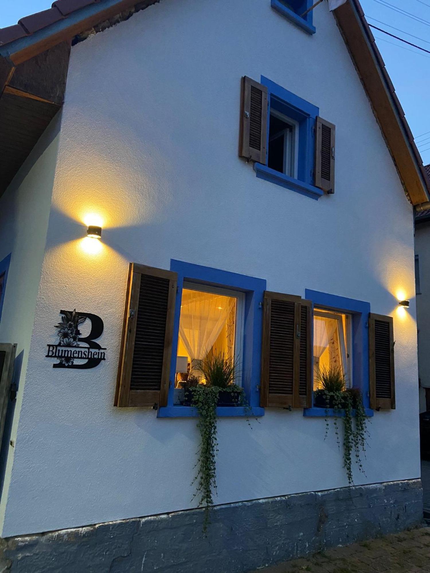 Ferienwohnung Blumenshein Bei Speyer Karlsruhe Familienfreundlich 5 Pers Zeiskam Dış mekan fotoğraf